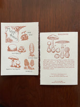 Load image into Gallery viewer, Letterpress Cards from Saturn Press