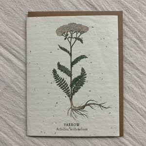 Seed Cards from Small Victories