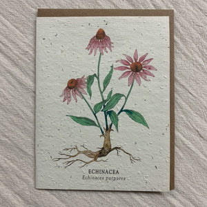 Seed Cards from The Bower Studio