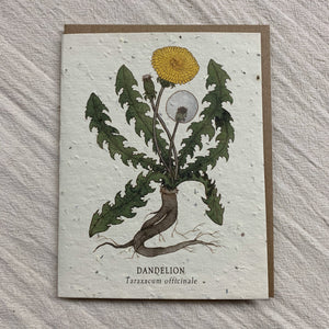 Seed Cards from Small Victories