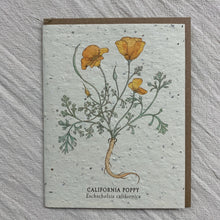 Load image into Gallery viewer, Seed Cards from The Bower Studio
