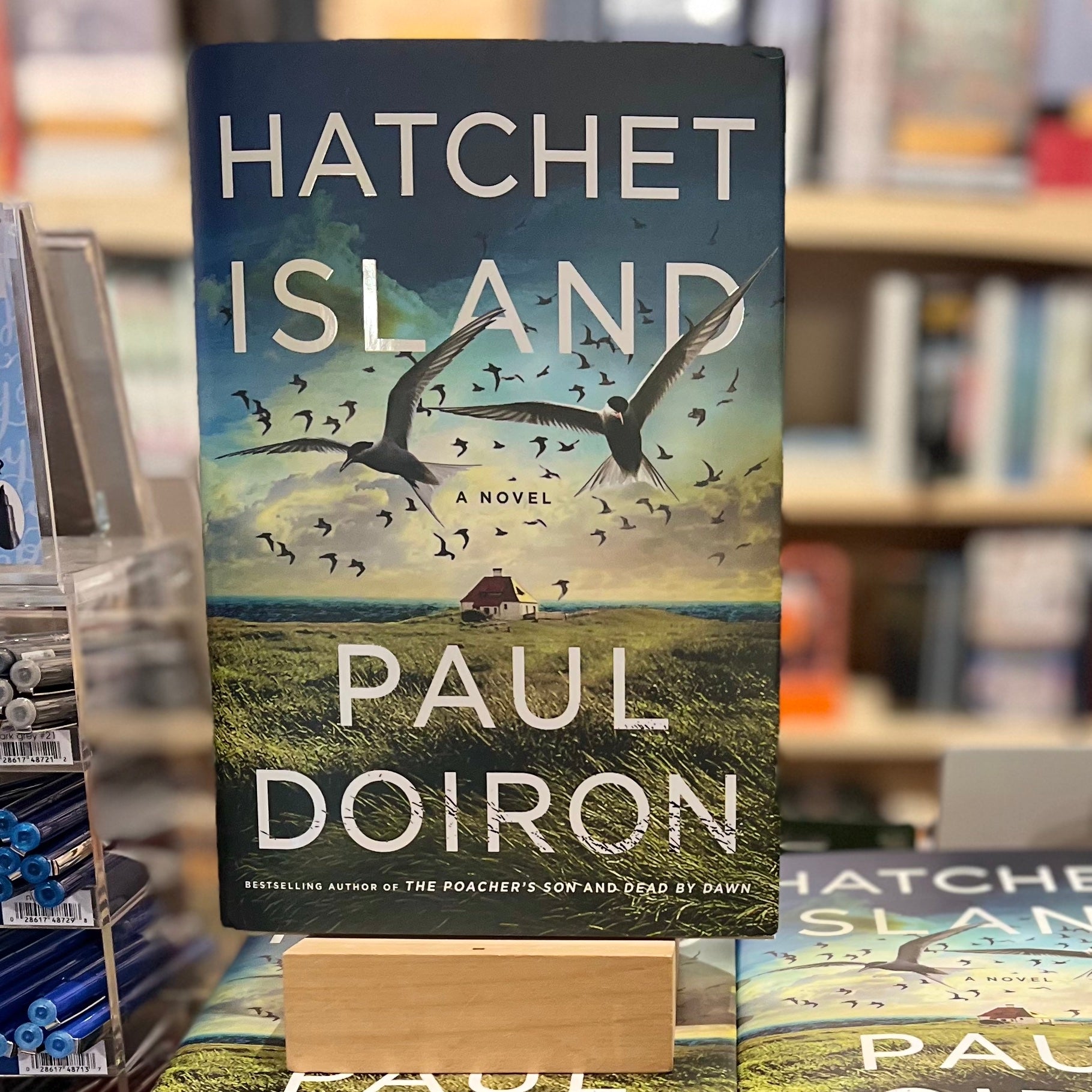 Hatchet Book Cover Hatchet book cover